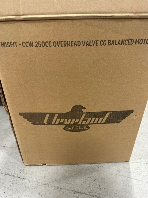 250CC Motor For CCW Misfit (Free Shipping in USA48, Located in USA)